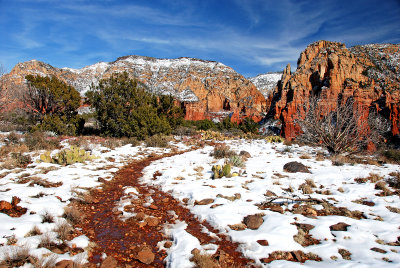 DSC_5891b.jpg