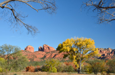 DSC_8745a.jpg
