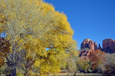 DSC_8862a.jpg