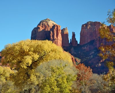 DSC_8894f.jpg