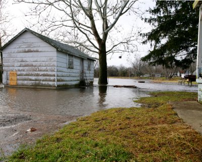 Back Yard Flood