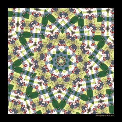 Grandma's Quilt