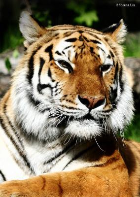 AIMG_5496.jpg