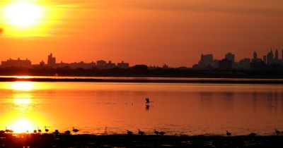 Jamaica Bay--NYC