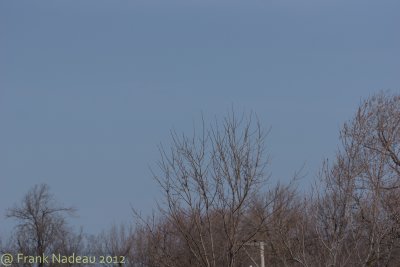 g4/79/558179/3/142231407.6dgVKPex.jpg
