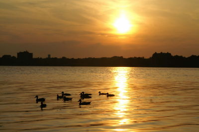 Named_PICT2088.jpg
