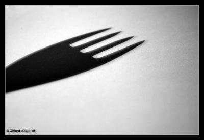 16_11_05 Fork Shadow
