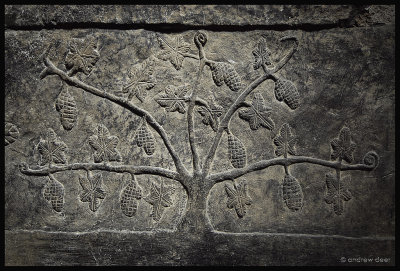 Assyrian tree