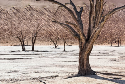 Dead Vlei in magical light, Sossusvlei