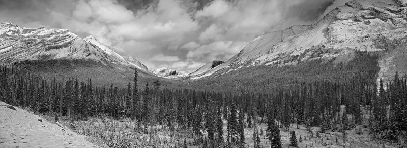 Vicinity of Columbia Icefield