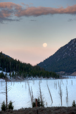 20110518_Yellowstone_0073_4_5.jpg