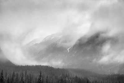 20110616_Kananaskis_0068.jpg