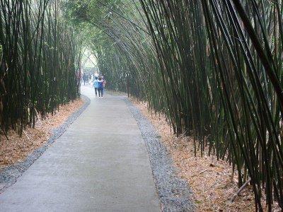 20110928_Chengdu_0022.jpg