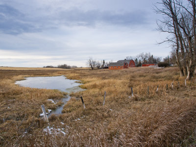 20111102_Alberta_0303.jpg