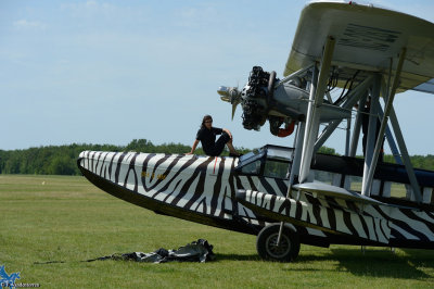 DSC_3464pb.JPG