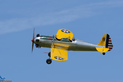 DSC_8103pb.JPG