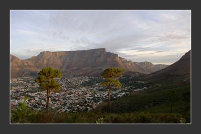 Table Mountain