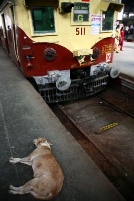 Victoria Terminus