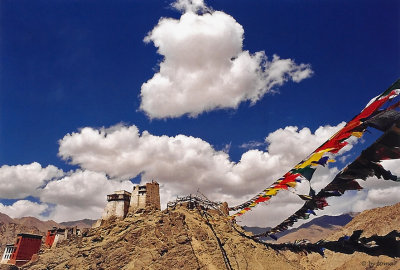 Leh Palace