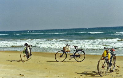 Konark Beach