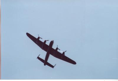 g4/79/644679/3/62468619.yy9VxwC0.jpg