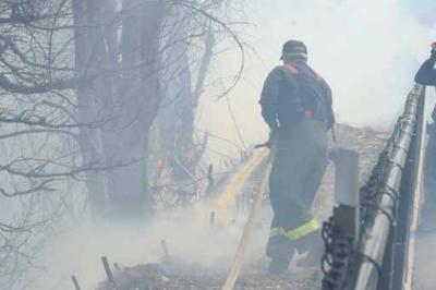 Nashua St Brush 003.jpg