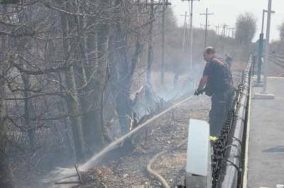 Nashua St Brush 040.jpg