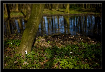 g4/79/698679/3/133776912.2osJK7gR.jpg