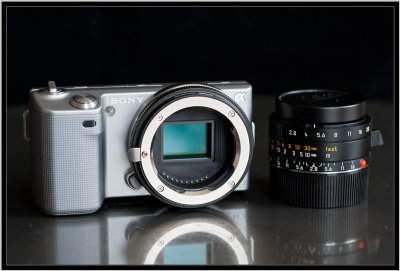 Sony NEX-5, the camera and Leica Lenses