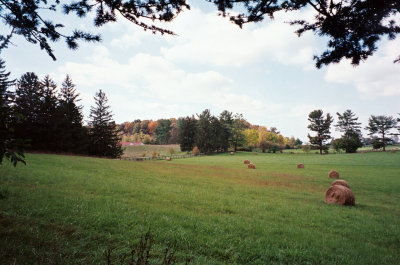 Hay Field, State Arboretum of Virginia