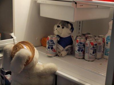 Stuffed animals in the fridge.jpg