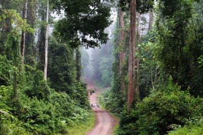 Road to the Lodge