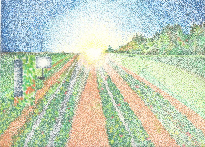 Strawberry Fields.jpg