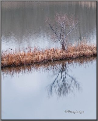 HENRY IMAGES, ESSEX COUNTY PHOTOGRAPHY by Brent Henry