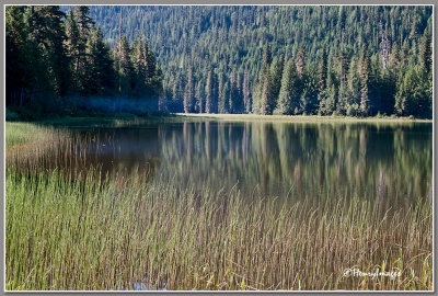 Beaver Lake Campsite