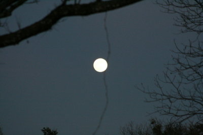 moonrise_at_ranch