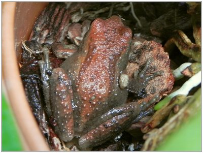 g4/79/738779/3/136499083.UZOoRpUr.jpg