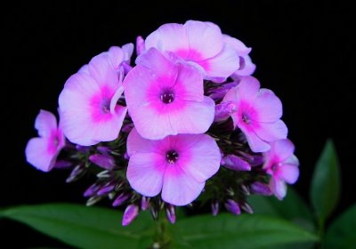 g4/79/738779/3/136801817.qRhAaDlb.jpg