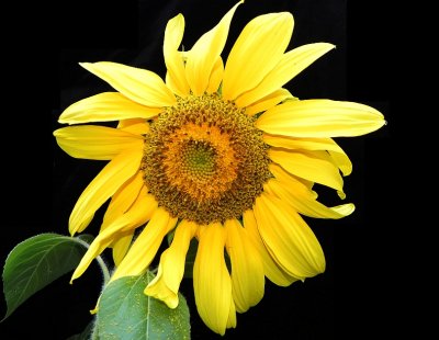 g4/79/738779/3/137502110.gFlUhSMr.jpg
