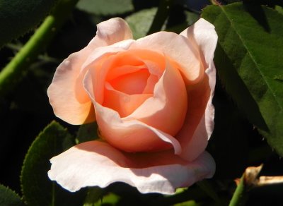 g4/79/738779/3/138802424.iyU0qbZH.jpg
