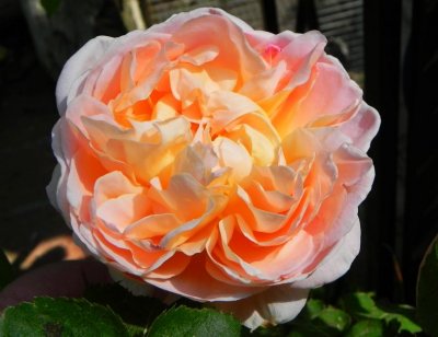 g4/79/738779/3/143242578.G2tHWfYa.jpg
