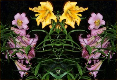 g4/79/738779/3/99266505.F6gx9pW4.jpg