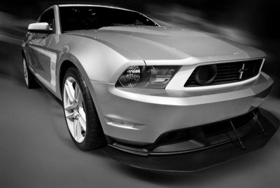 SliverStang1 sml bw