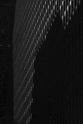 Light and Dark bw.jpg
