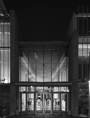 ModernWing_3 bw.jpg