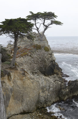 CARMEL-MONTEREY