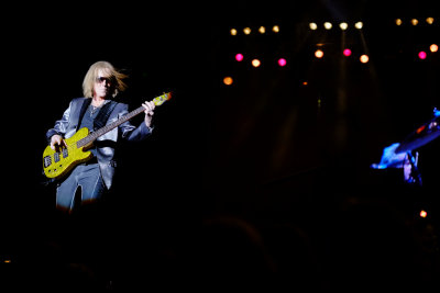 The Bassist