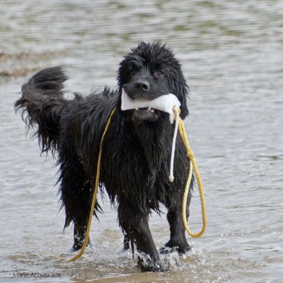 2011 GLNC Water Test