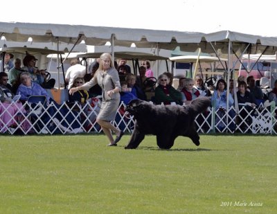 2011-MiscNatlSpec (23).jpg