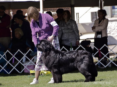 2011-MiscNatlSpec (24).jpg